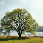 Dikter av Tomas Tranströmer